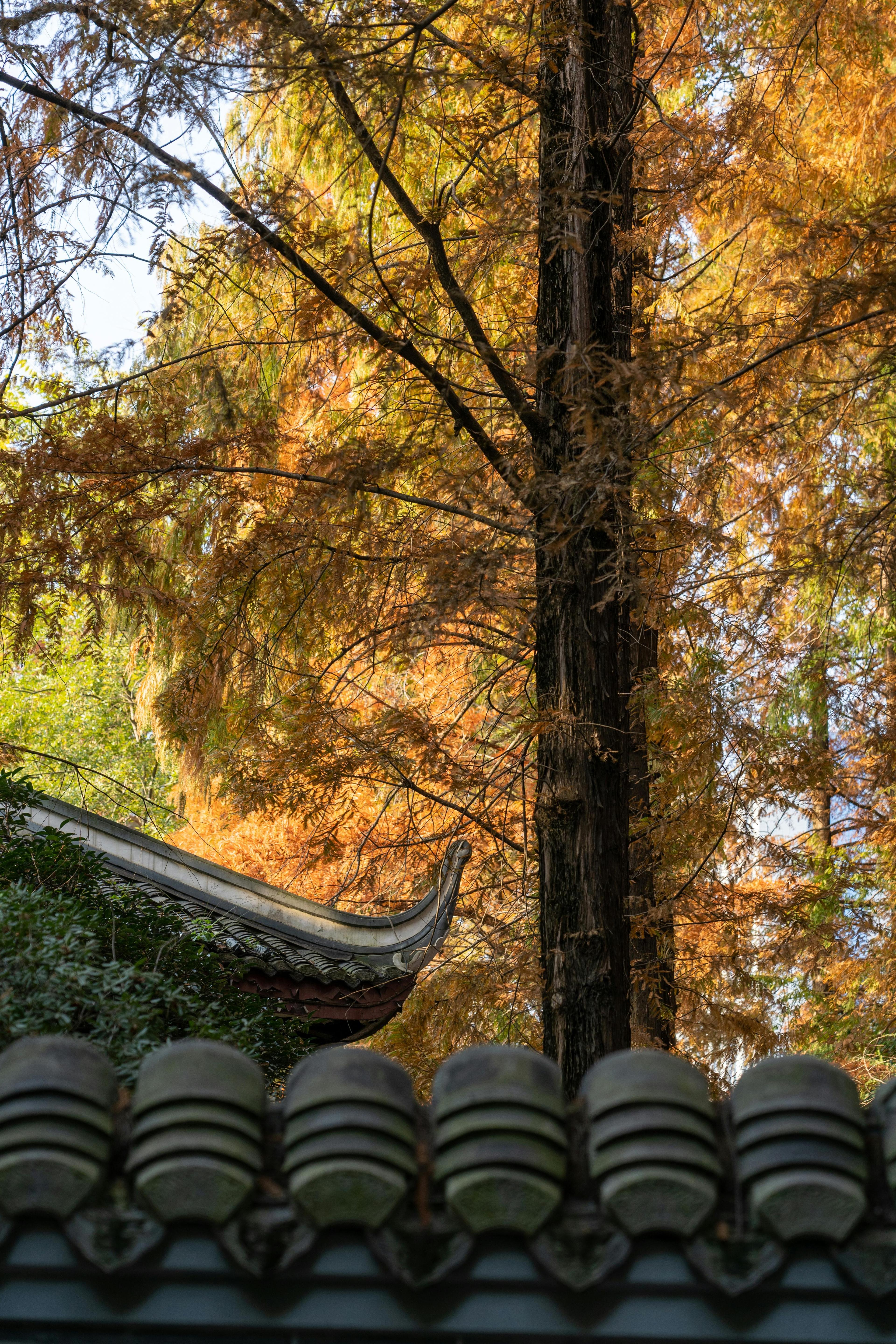 環境 (Environment)